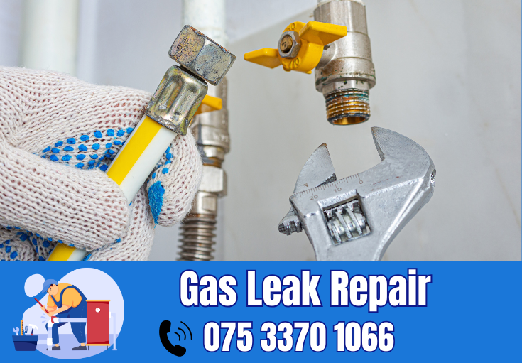 gas leak repair Rainham