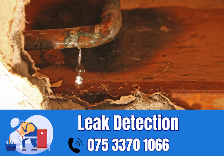 leak detection Rainham