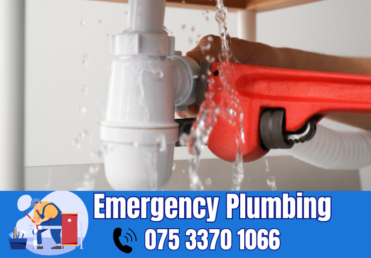  plumber Parkwood