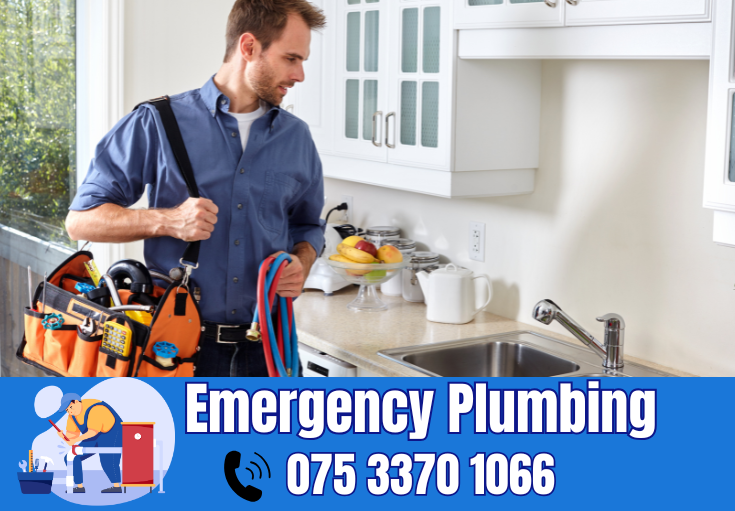  plumber Twydall
