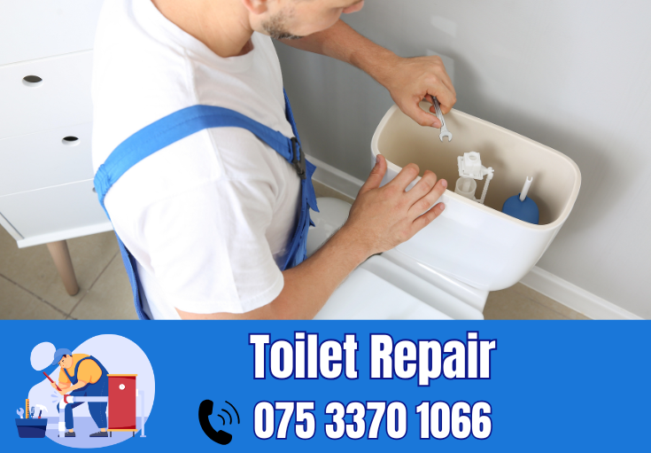 toilet repair Rainham